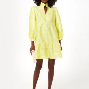 Tuckernuck Citron Fil Coupe Palmerston Dress in Medium! Worn once!